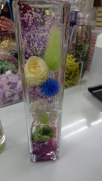 ずこうしつ〜sugamo〜に投稿された画像（2019/3/9）