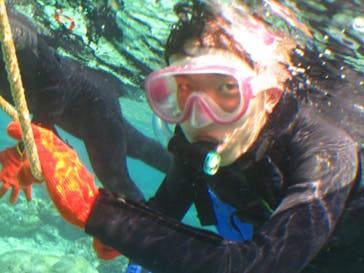 沖縄ダイビングショップシーモールに投稿された画像（2019/2/25）