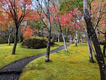箱根美術館に投稿された画像（2018/11/10）