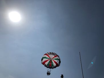 Sea World（シーワールド）に投稿された画像（2019/3/12）