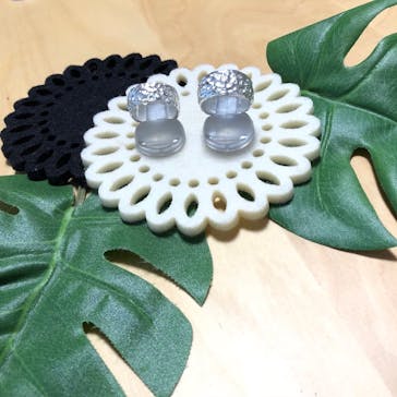 銀のイルカに投稿された画像（2018/9/23）