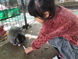 しろとり動物園に投稿された画像（2018/11/23）