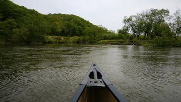 B&B かむほーむに投稿された画像（2018/6/5）