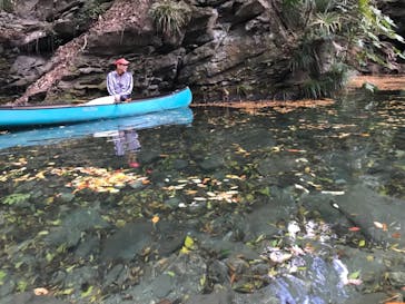 カヌーリゾートたまよどに投稿された画像（2017/11/20）