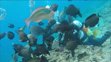 青の洞窟専門店　沖縄ダイビングショップ和に投稿された画像（2018/5/6）