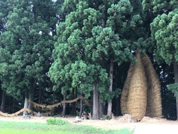 大地の芸術祭 実行委員会に投稿された画像（2018/8/25）