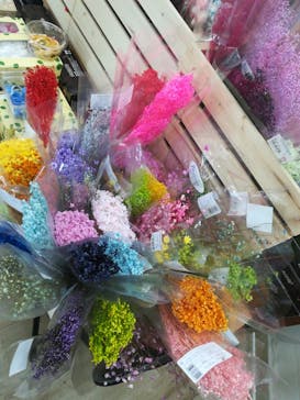 ずこうしつ〜sugamo〜に投稿された画像（2019/2/24）