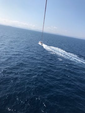 Sea World（シーワールド）に投稿された画像（2018/5/3）