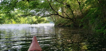 カヌーリゾートたまよどに投稿された画像（2019/5/12）