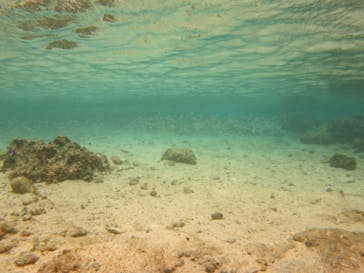 ドロップイン 沖縄に投稿された画像（2018/9/27）