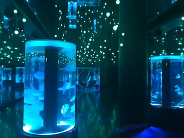 マクセル アクアパーク品川に投稿された画像（2018/6/25）