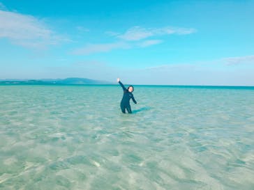 石垣島ダイビングショップABCdiveに投稿された画像（2018/11/25）