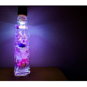 ずこうしつ〜sugamo〜に投稿された画像（2019/5/28）