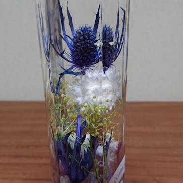 Y's calm feeling（ワイズカルムフィーリング）に投稿された画像（2018/11/29）