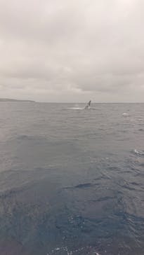 Sea World（シーワールド）に投稿された画像（2019/2/11）