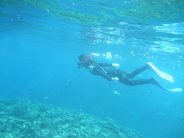 沖縄ダイビングショップシーモールに投稿された画像（2019/1/30）