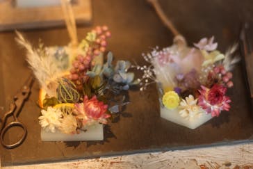 ドライフラワーと暮らしのお店 その灯ぐらし 猫洞店に投稿された画像（2018/10/21）