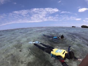 diving&workshop IHANASHI（ダイビングアンドワークショップイハナシ）に投稿された画像（2019/5/30）