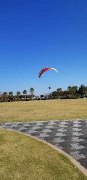 スカイトライに投稿された画像（2018/11/25）