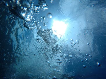 青の洞窟専門店　沖縄ダイビングショップ和に投稿された画像（2019/6/7）