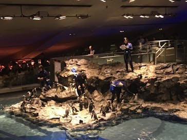 すみだ水族館に投稿された画像（2018/8/15）