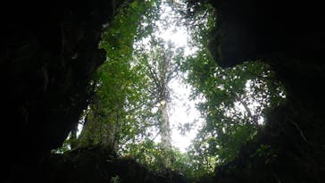 屋久島ガイドクラブに投稿された画像（2018/12/4）