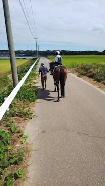 乗馬倶楽部 パ・ドゥドゥに投稿された画像（2018/8/15）