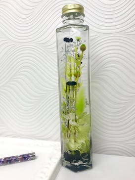 ずこうしつ〜sugamo〜に投稿された画像（2019/2/9）