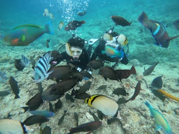 武藤潜水に投稿された画像（2019/5/20）