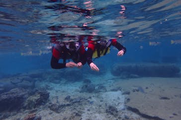 diving&workshop IHANASHI（ダイビングアンドワークショップイハナシ）に投稿された画像（2018/10/17）