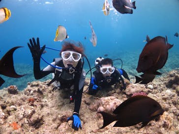 diving&workshop IHANASHI（ダイビングアンドワークショップイハナシ）に投稿された画像（2018/7/22）