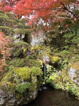 箱根美術館に投稿された画像（2018/11/10）