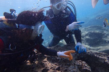 diving&workshop IHANASHI（ダイビングアンドワークショップイハナシ）に投稿された画像（2018/12/19）