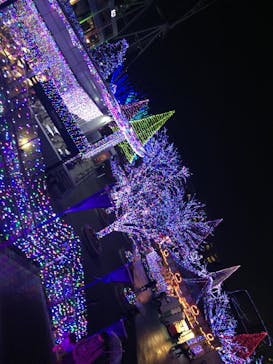 よみうりランド 遊園地に投稿された画像（2017/12/12）