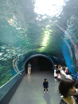 マクセル アクアパーク品川に投稿された画像（2018/3/4）