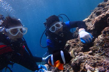 diving&workshop IHANASHI（ダイビングアンドワークショップイハナシ）に投稿された画像（2018/9/18）