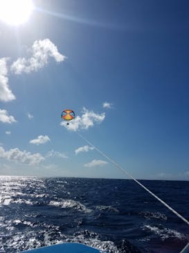 CoCoMarin（ココマリン）に投稿された画像（2017/10/11）