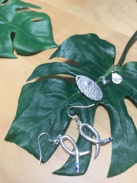 銀のイルカに投稿された画像（2018/9/22）