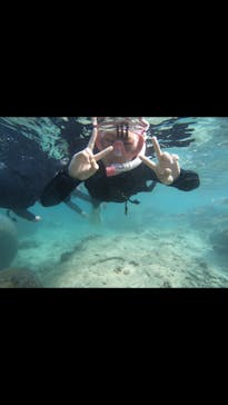 武藤潜水に投稿された画像（2019/3/26）