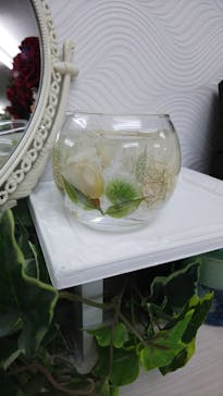 ずこうしつ〜sugamo〜に投稿された画像（2019/6/7）