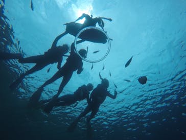 武藤潜水に投稿された画像（2019/6/4）