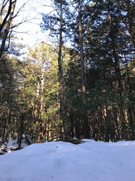 THE HIGHEST PEAKに投稿された画像（2018/2/20）