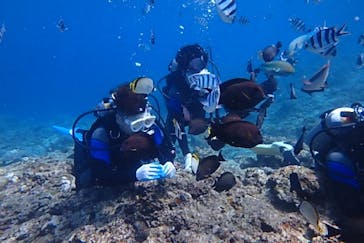 diving&workshop IHANASHI（ダイビングアンドワークショップイハナシ）に投稿された画像（2019/3/20）