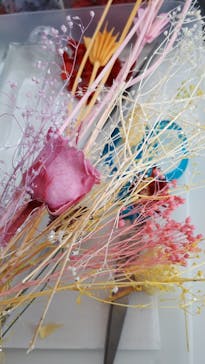 ずこうしつ〜sugamo〜に投稿された画像（2019/3/27）