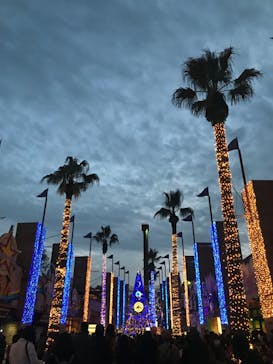 ひらかたパークに投稿された画像（2018/11/18）