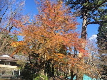 箱根美術館に投稿された画像（2017/12/10）