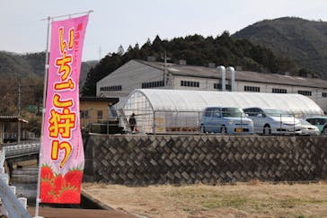 美作農園に投稿された画像（2018/3/16）