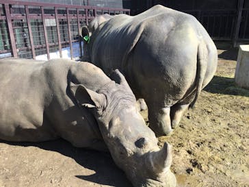 那須サファリパークに投稿された画像（2018/2/15）