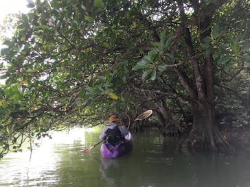 CHOROに投稿された画像（2019/4/27）