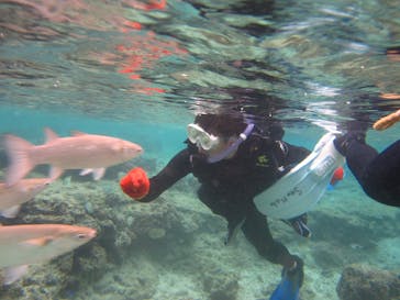 沖縄ダイビングショップシーモールに投稿された画像（2019/2/10）